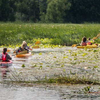 kayak marais.jpg