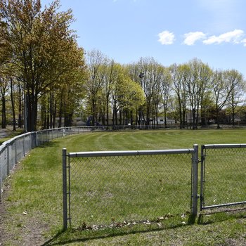 parc-trembles-terrain-baseball.jpg