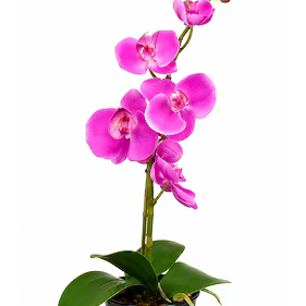 sku15382269.avif
