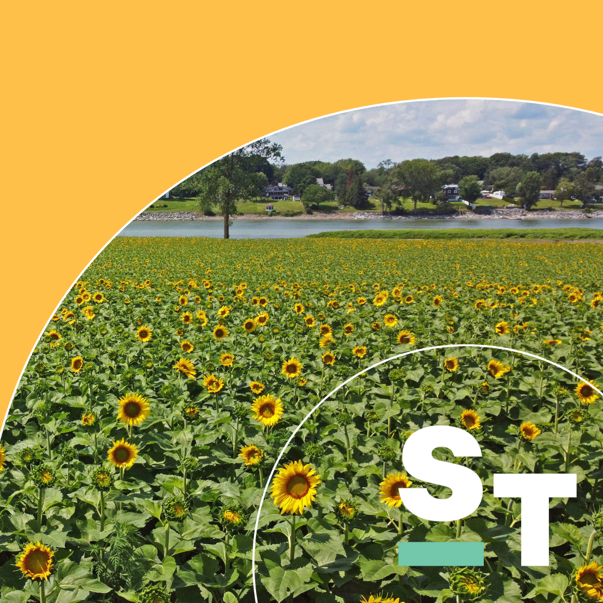 region-de-sorel-tracy-vivre-et-travailler_tournesol